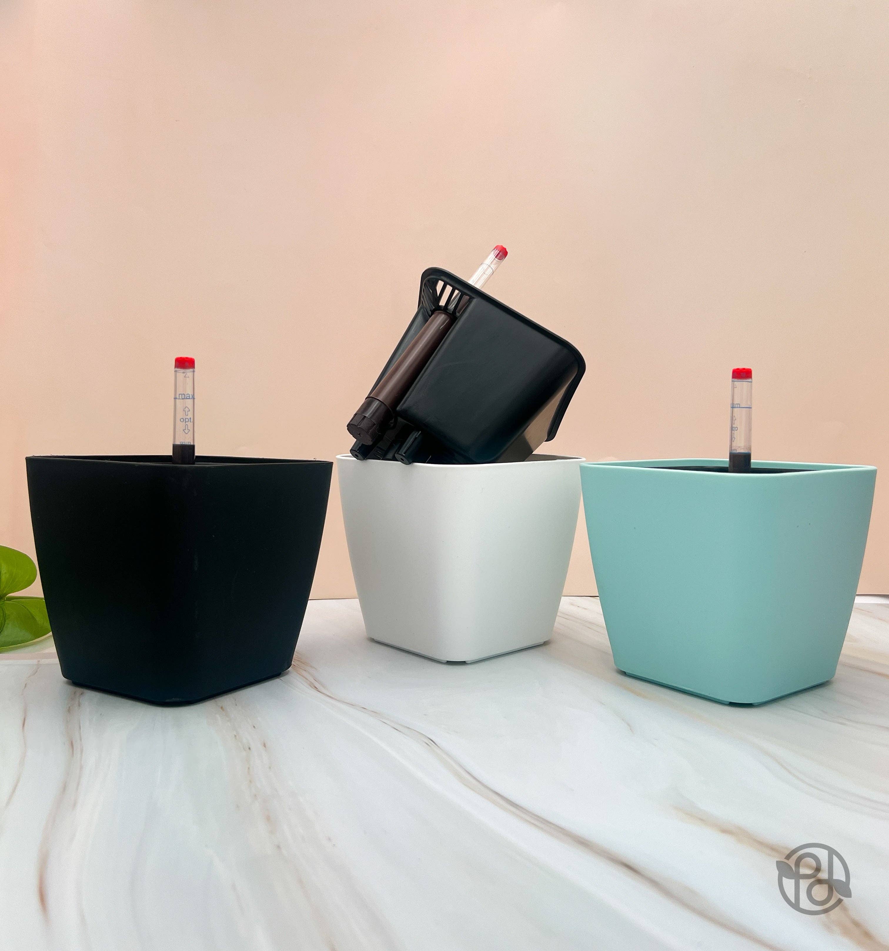 Propagation Diaries - Wholesale Plant Pot - 6" Self Watering Moo Pot5