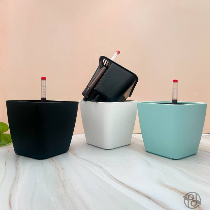 Propagation Diaries - Wholesale Plant Pot - 6" Self Watering Moo Pot5