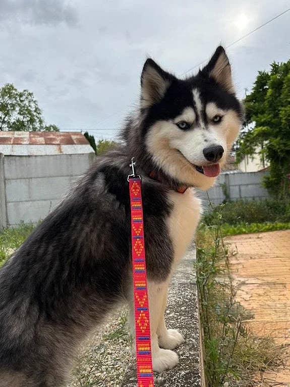 Correia artesanal em cinta tecida inspiração Asteca por atacado de Leenia