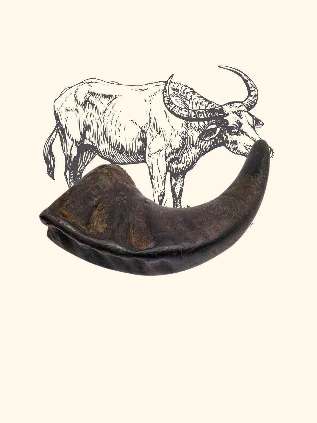 Truffe Délice - Wholesale Pet Chew Toy - Dog - Buffalo horn