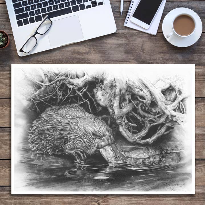Fiona Francois Art - Wholesale Art Print - 'Platypus' art print
