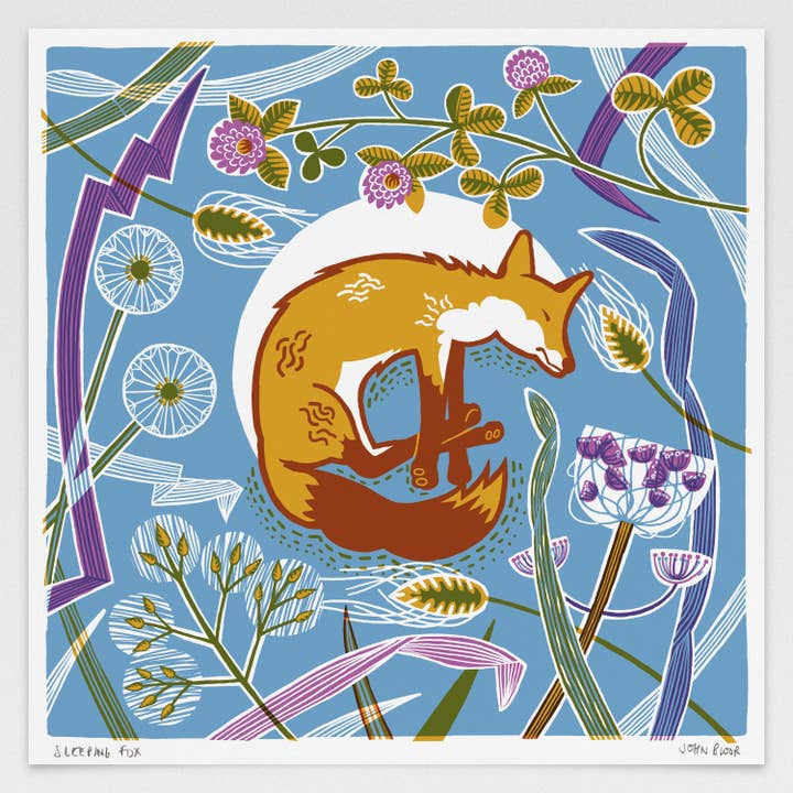 Impression numérique « Sleeping Fox » pour la vente par John Bloor Printmaker