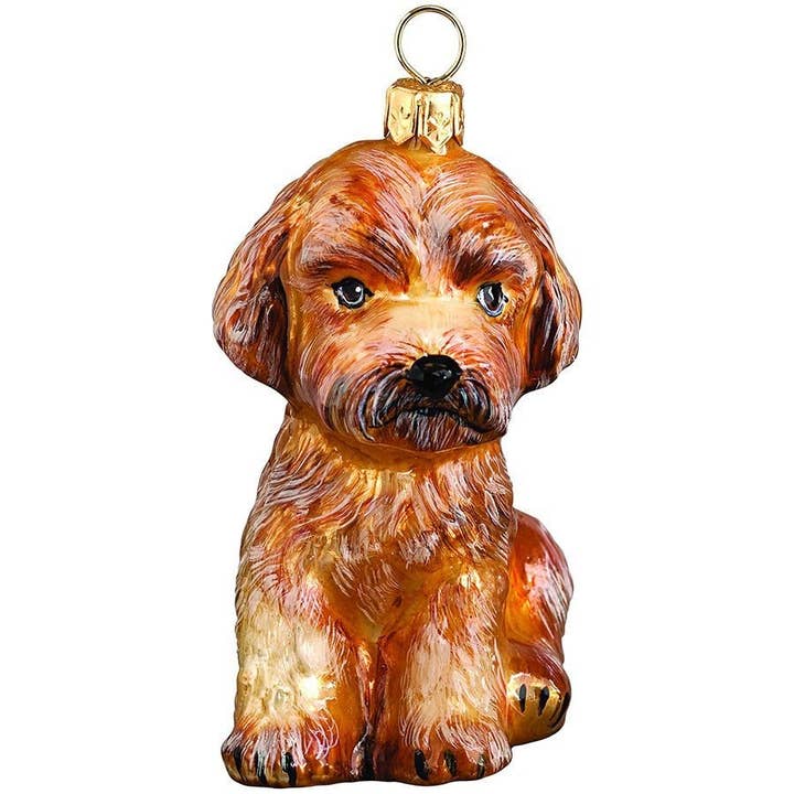 Enfeite de vidro de damasco Maltipoo por atacado de Joy To The World Collectibles