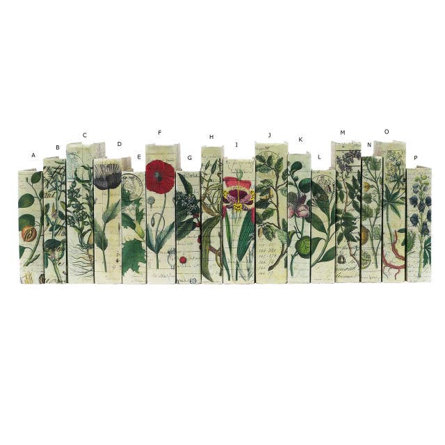 Antique Botanical Series / Off-White Cover / 8.5-9.5" for wholesale by E. Lawrence, Ltd.
