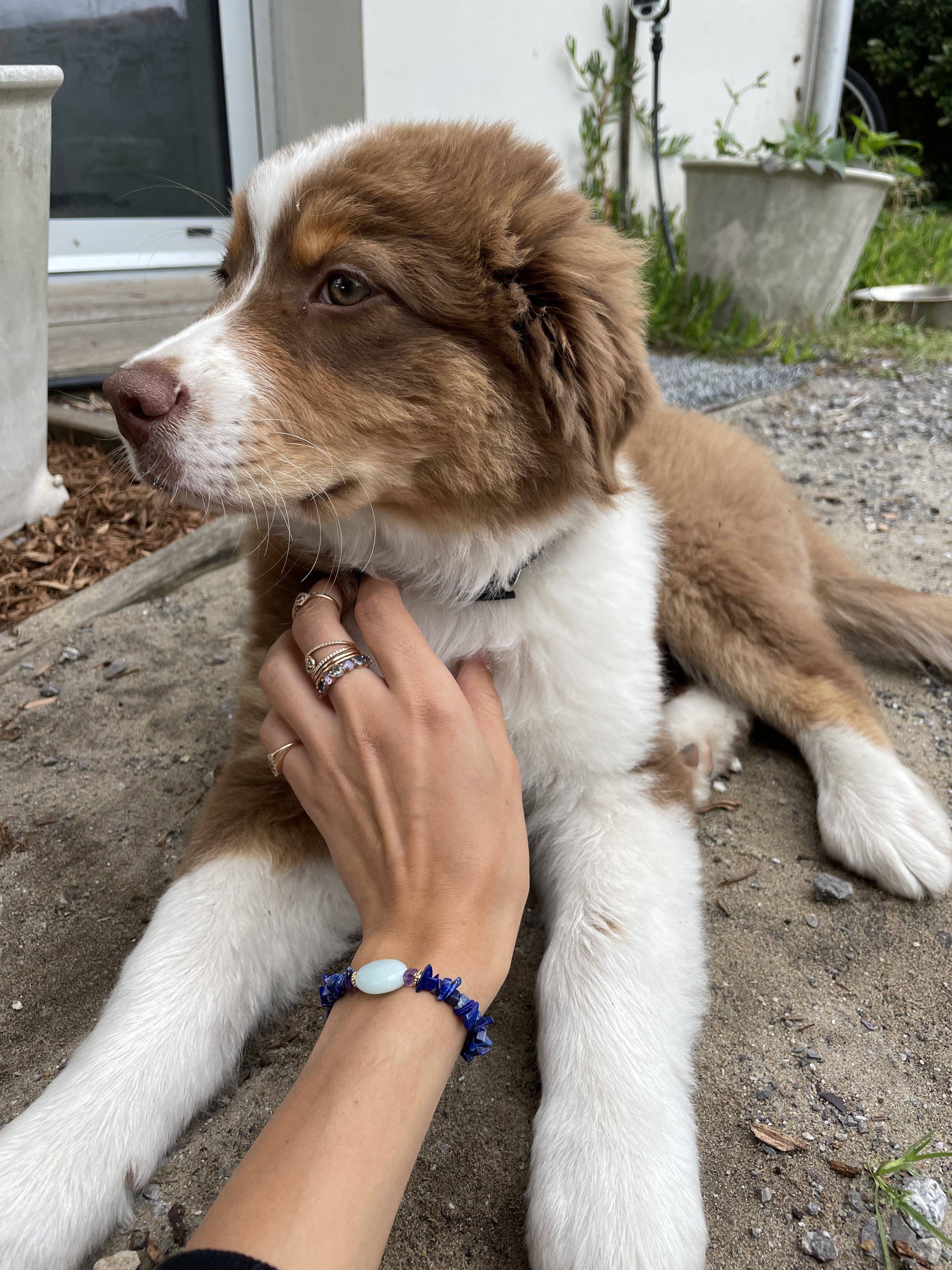 Holi Editions – Pulseira de missangas por atacado – Pulseira Love Note Lapis Lazuli1