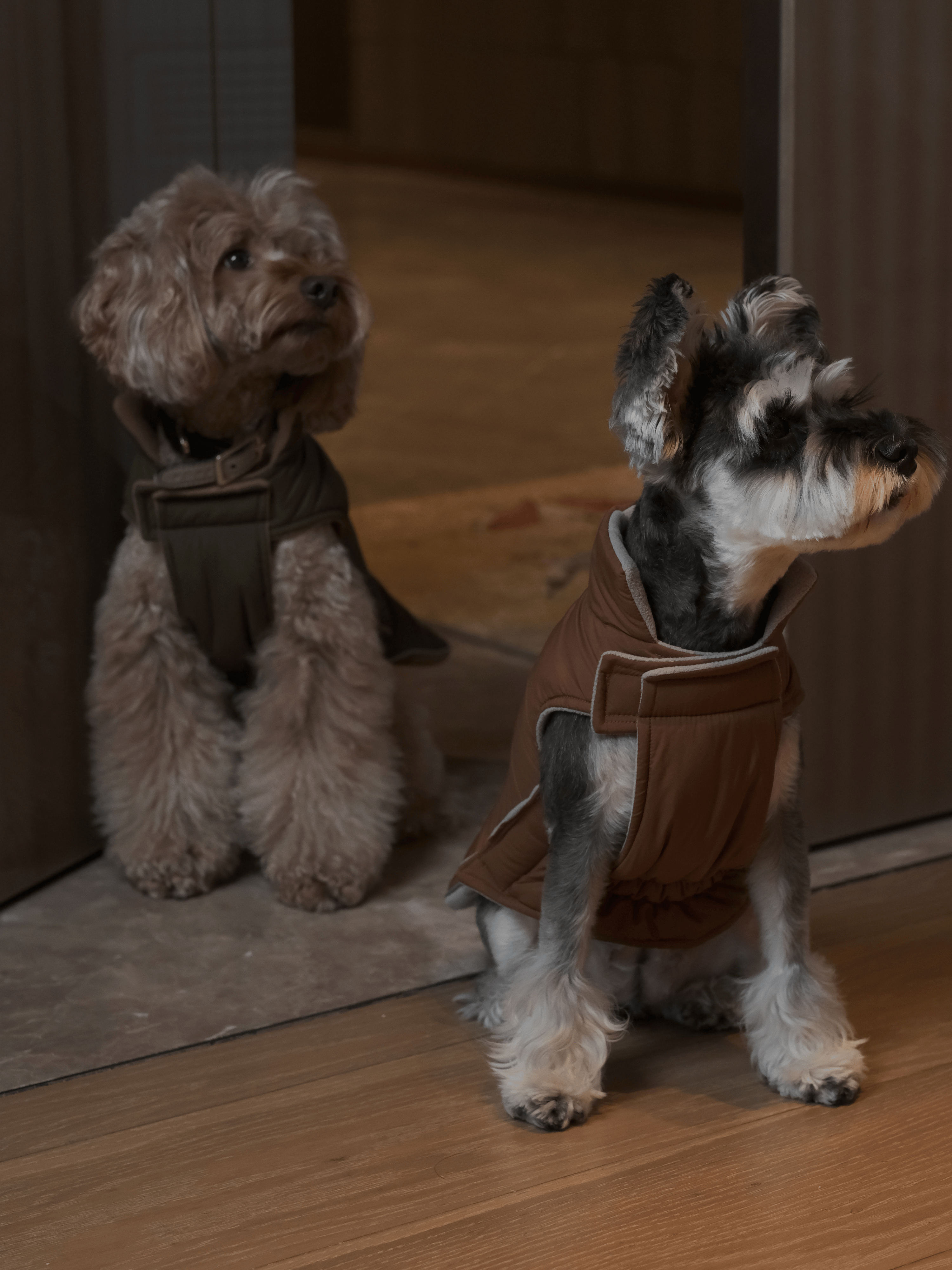 PEHOM - Wholesale Pet Vest - Dog - Reversible Dog Vest Jacket - Orange Grey10