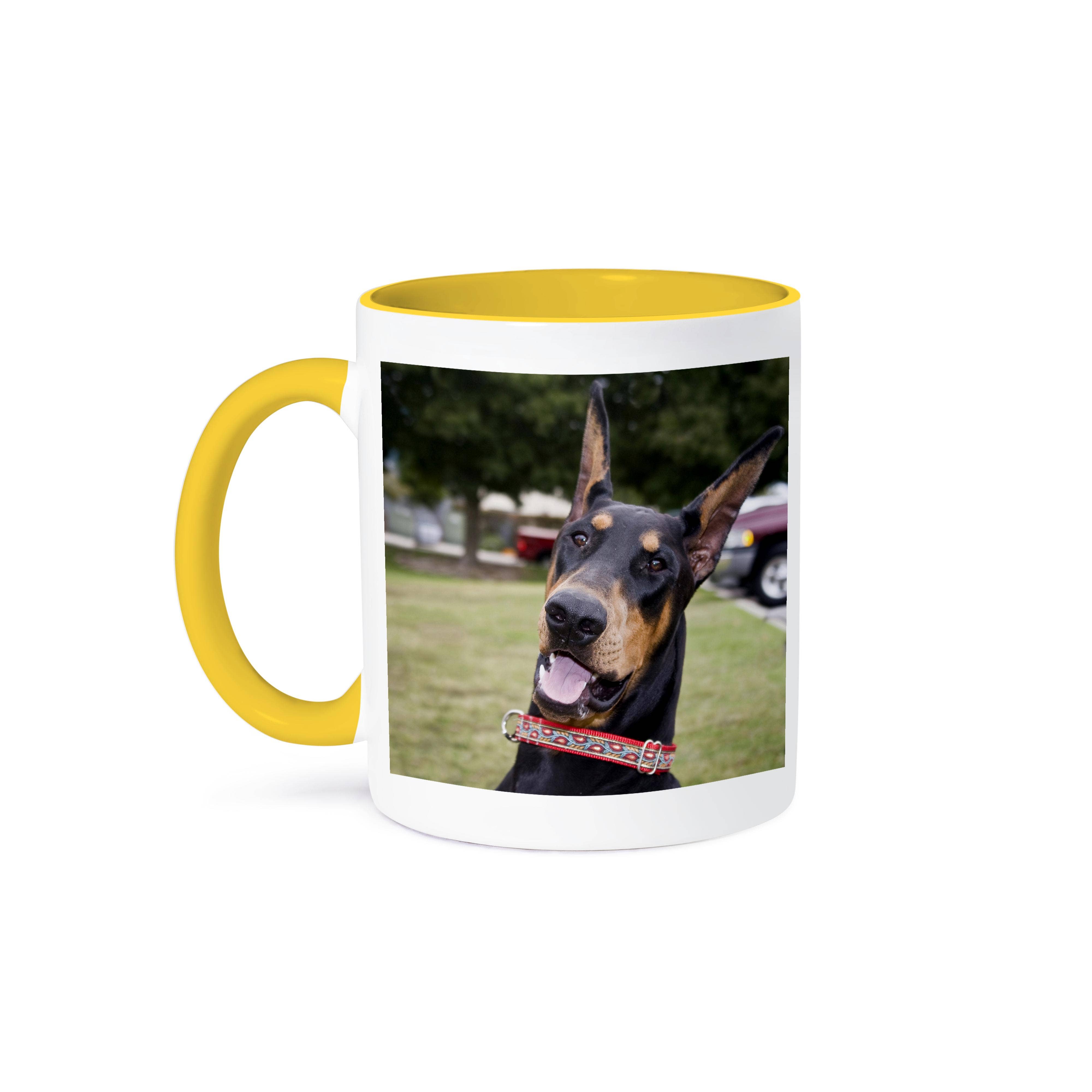 3dRose - Wholesale Coffee Mug - 3dRose, Fun photo of a Doberman Pinscher dog - US05 ZMU0264 - Zandria Muench Beraldo, Mug0