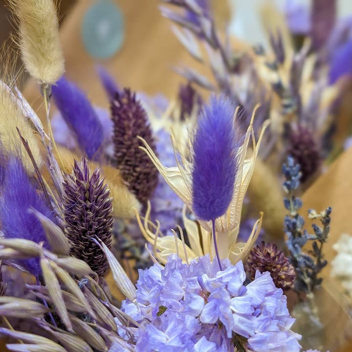 Banksia Botanicals - Wholesale Dried/Pressed Flowers - Purple Dried Flower Arrangements1