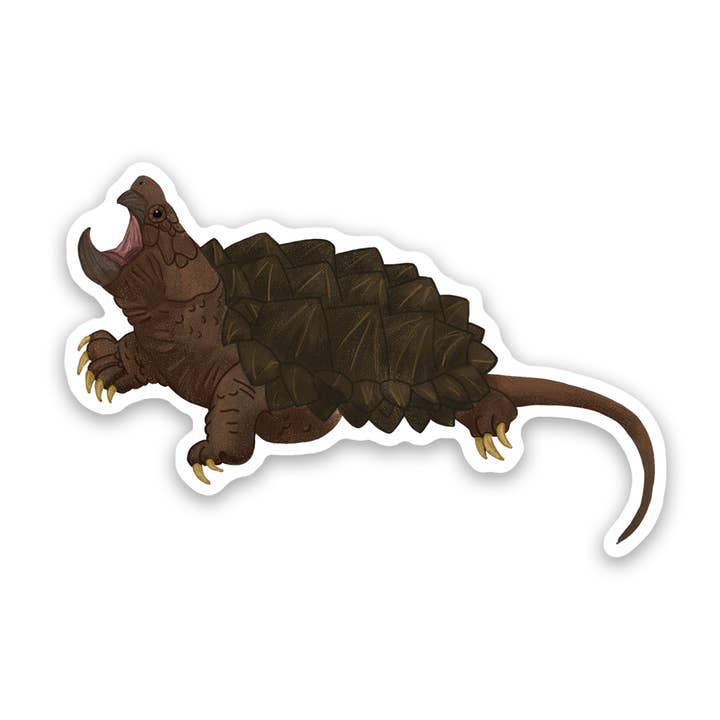 Alligator Snapping Turtle Vinyl Sticker Decal for wholesale by Proper Wolf