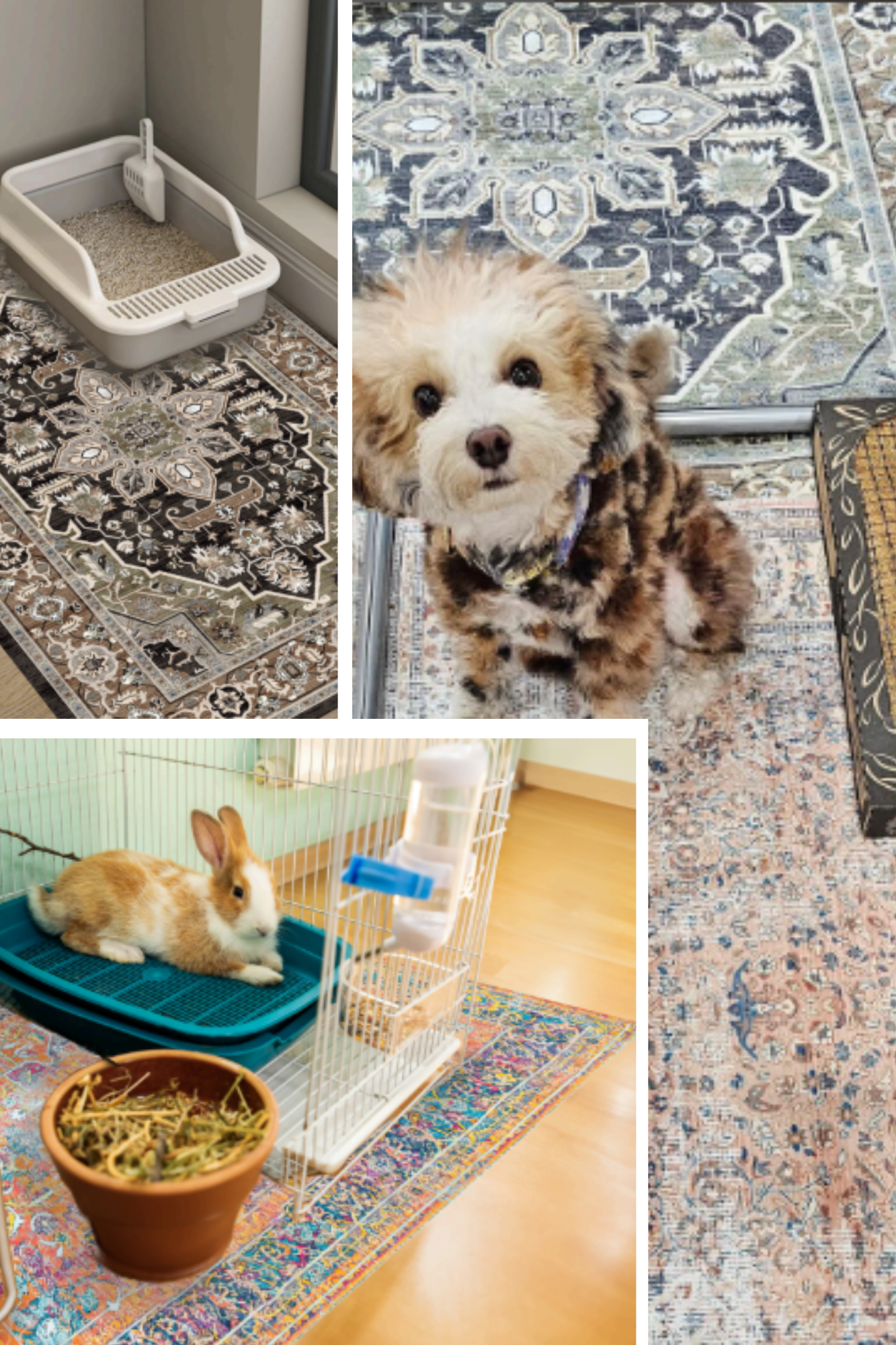 Wallabaga - Vendita all'ingrosso Tappetino - Cani - La società Avalon 5