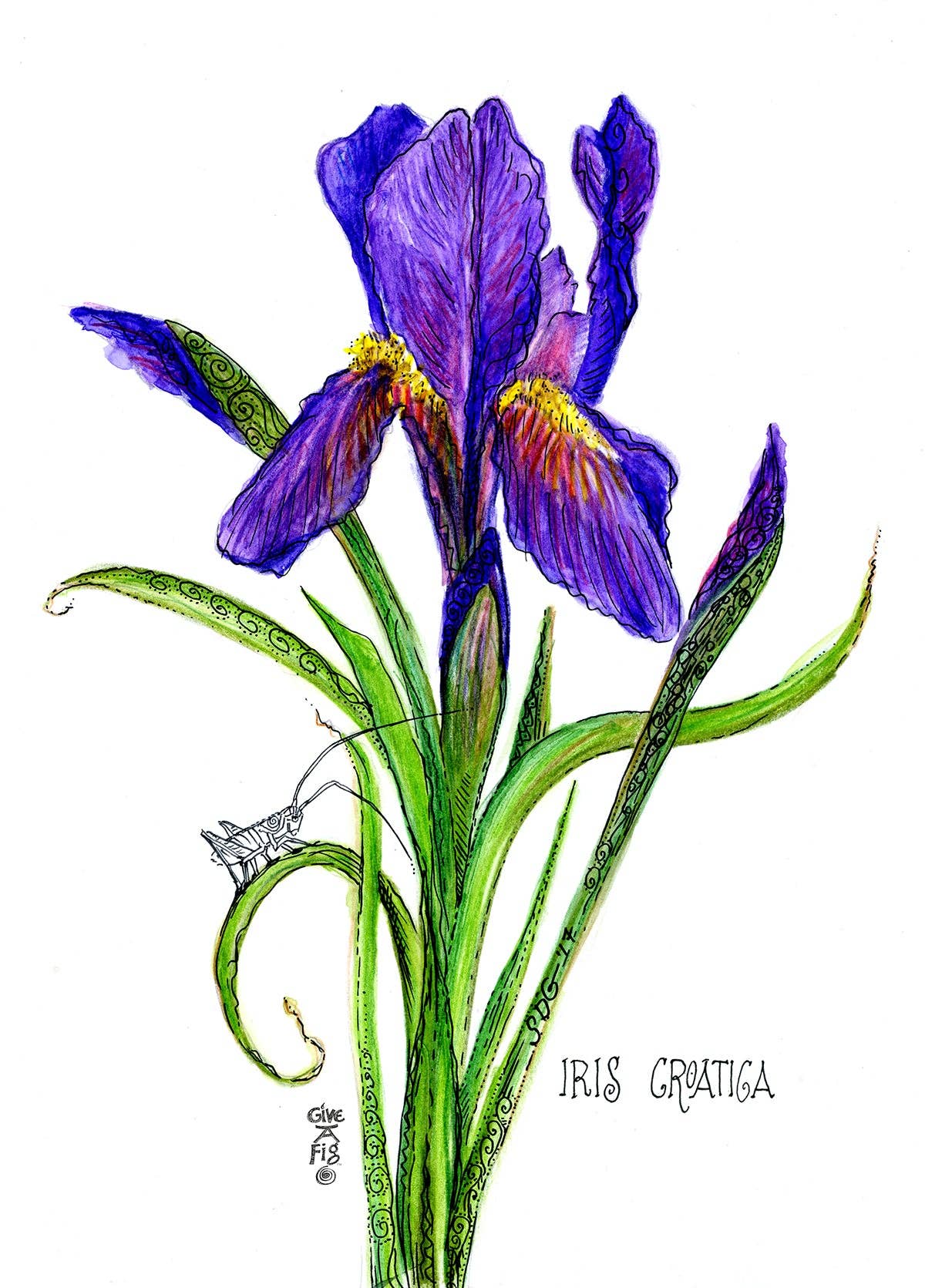 Iris Tea Towel for wholesale by Give A Fig