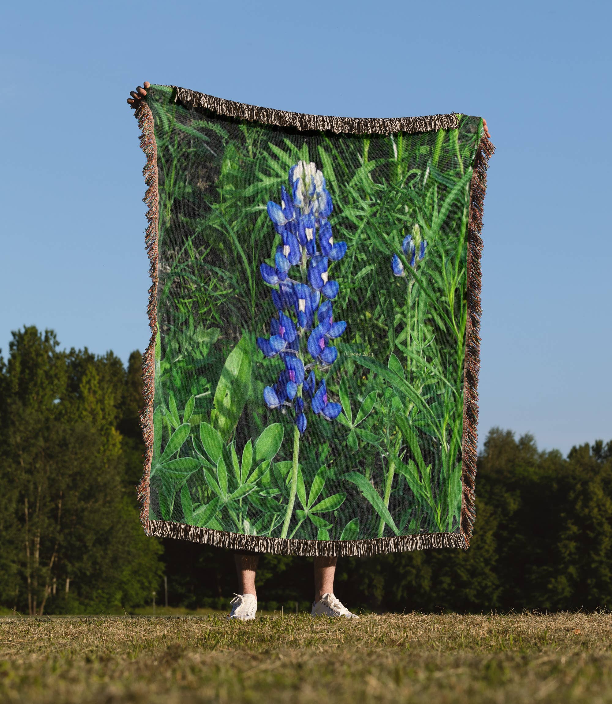 3dRose – wholesale Throw blanket – 3dRose, Bluebonnet, Blanket1