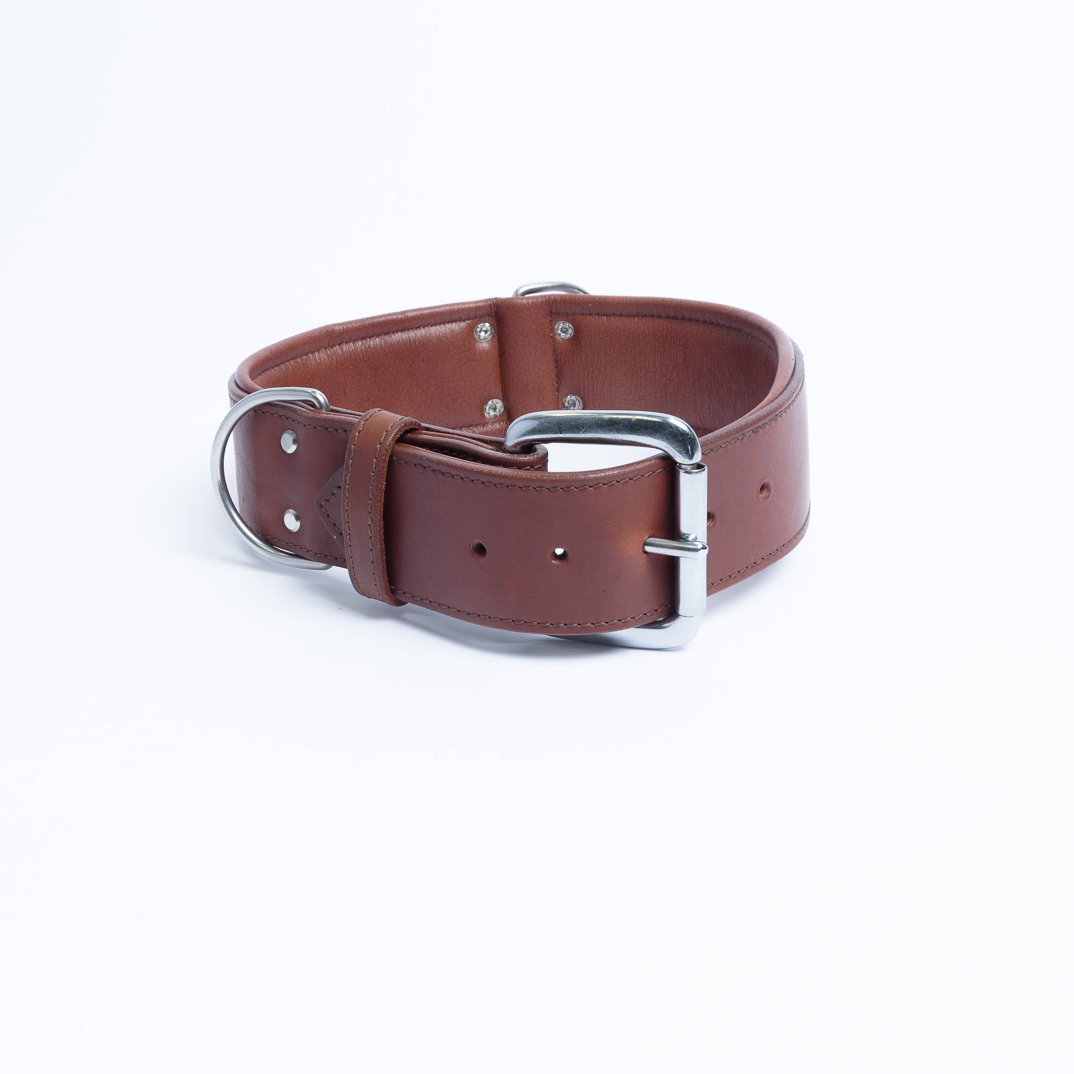 Angel Pet Supplies Inc. – Engroshandel Halsbånd - Hund – Dallas Læderhundehalsbånd med polstring fra ANGEL™ | Ægte læder1