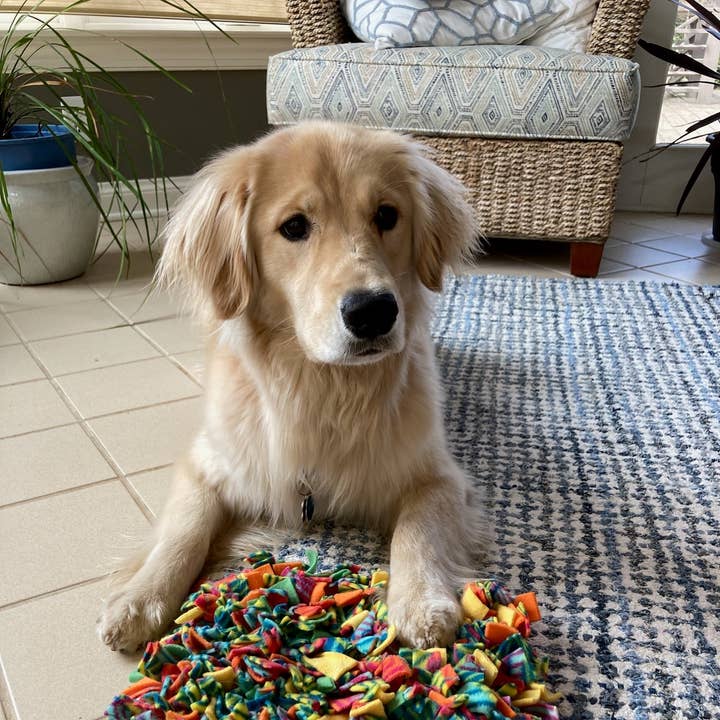 Pets Pizzazz - Wholesale Pet Toy - Cat/Dog - Large Snuffle Mat2