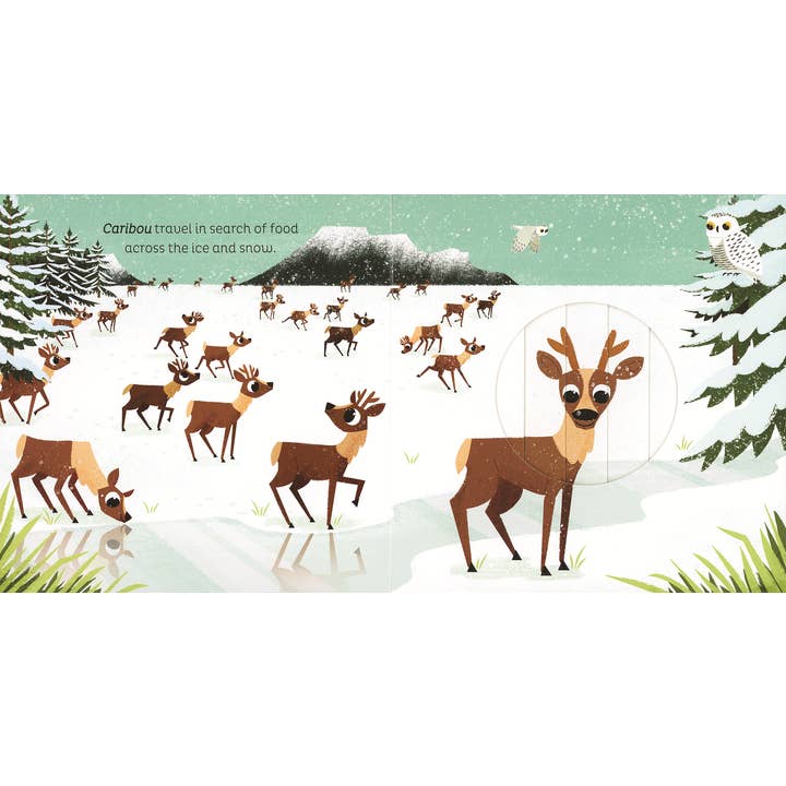EDC Publishing - Wholesale Book - Kids - Animal Magic: In the Snow
