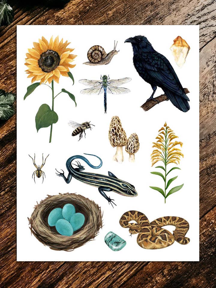 Lámina Nature Finds para venta al por mayor de Stephanie Hathaway Designs