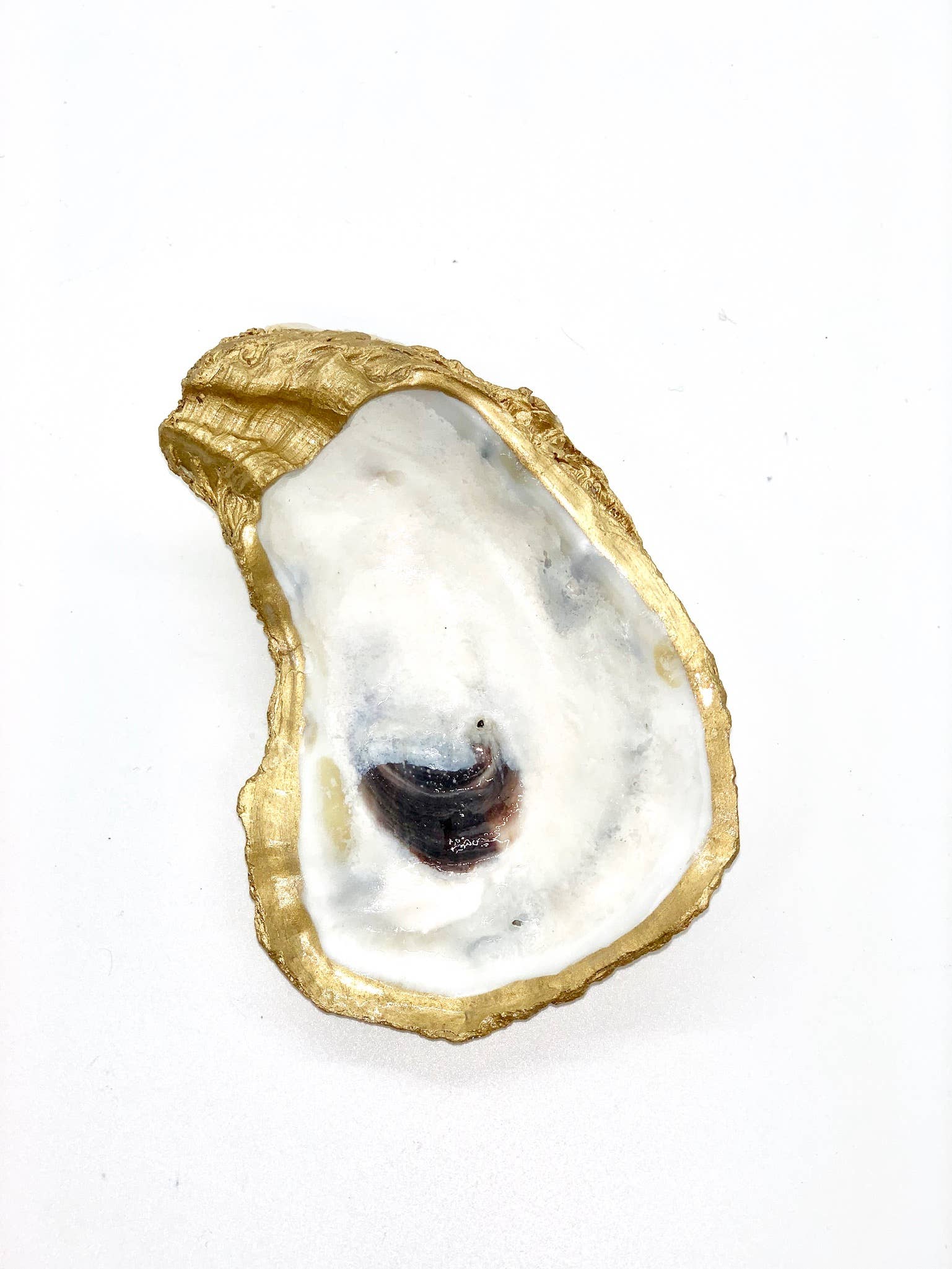  k gold leafing around the edge Oyster Shell Trinket Dish for wholesale on Faire1