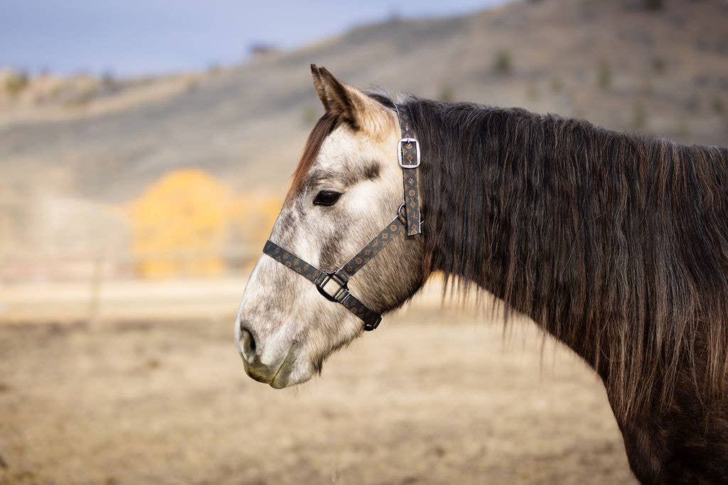 Schulz Equine - Wholesale Horseback Riding Gear - Nylon Halter - Horse Size33