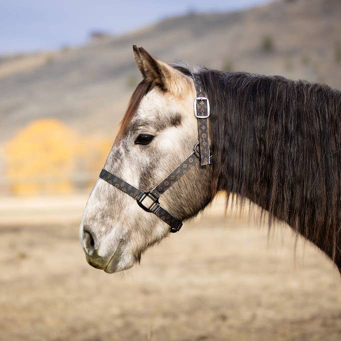 Schulz Equine - Wholesale Horseback Riding Gear - Nylon Halter - Horse Size33