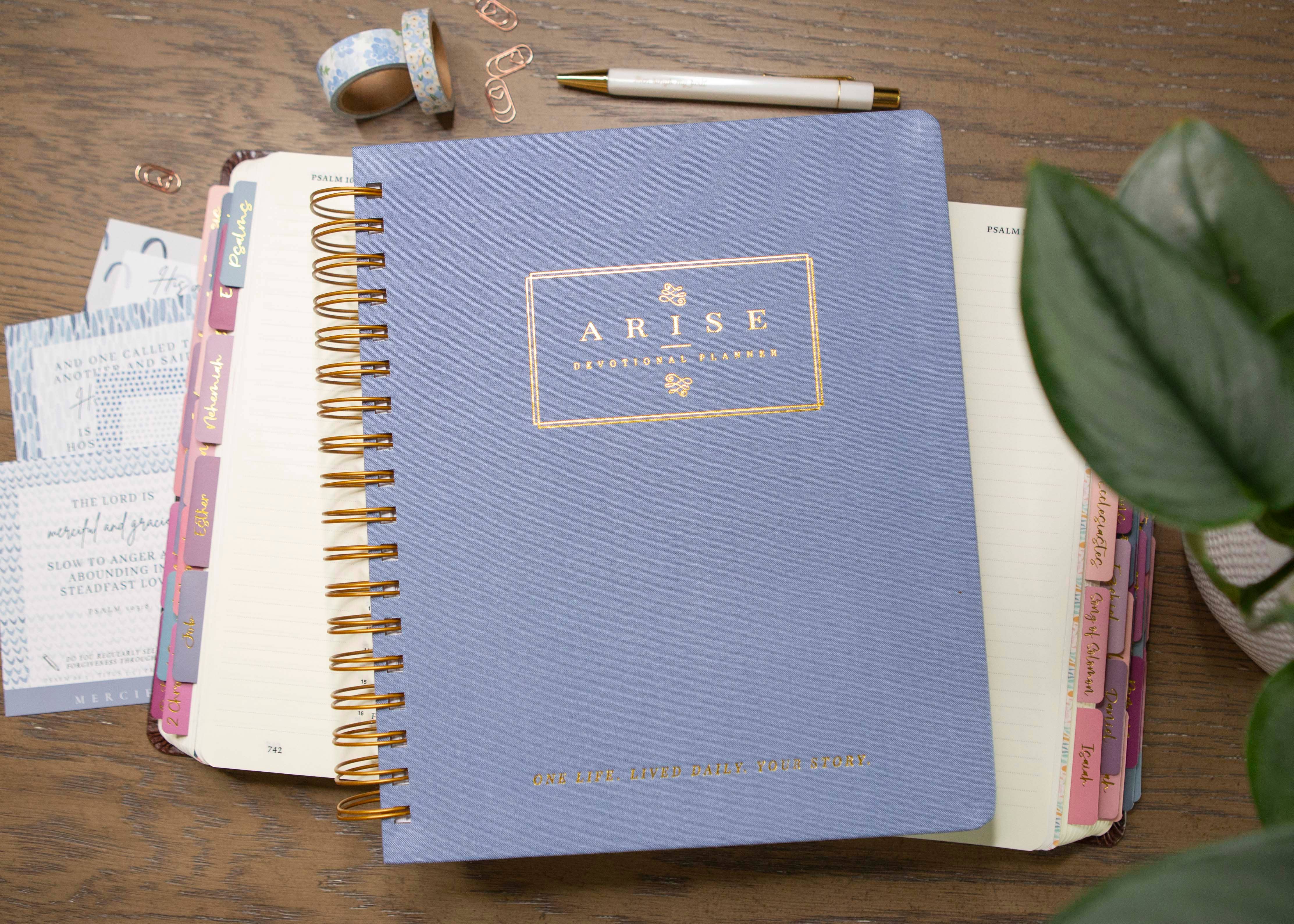 Chosen & Cherished - Wholesale Planner - Christian Goal Planner for Women12