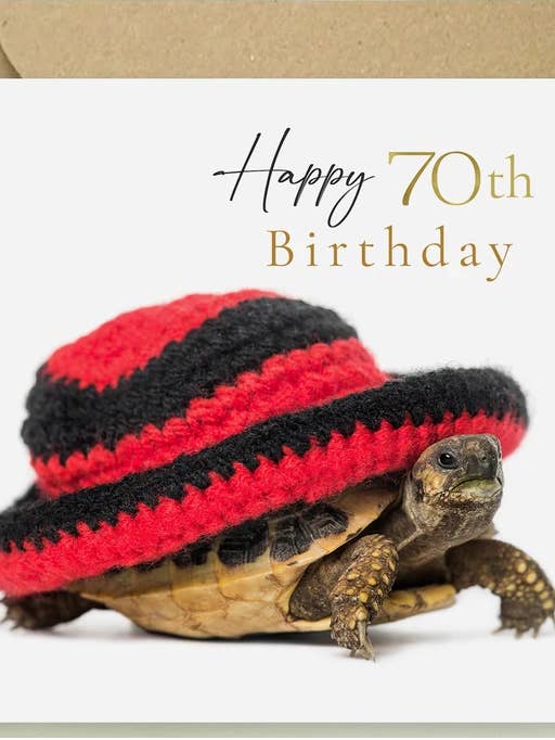 Tortoise - 70th Birthday Card for wholesale by The Wildlife Library