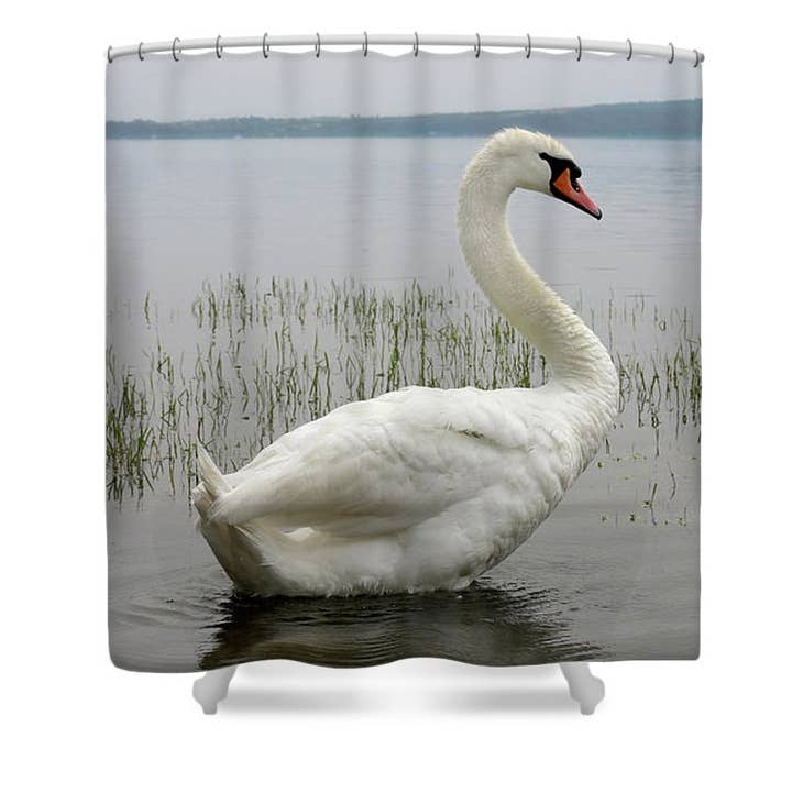 THE SWAN'S GAZE DUSCHVORHANG für den Großhandel von sorayadapuzzostore