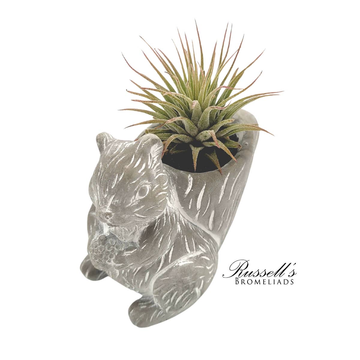 Russell's Bromeliads - Wholesale Decorative Figurine - Petite Menagerie - Half Pack4