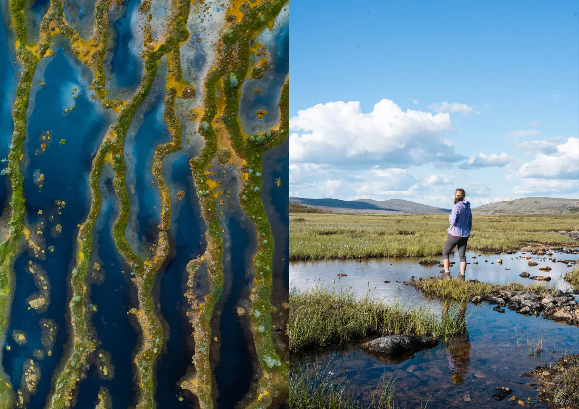 Cozy Publishing - Wholesale Cookbooks & Food - Food In The Woods, Vegetarian recipes, snacks & hiking meals11