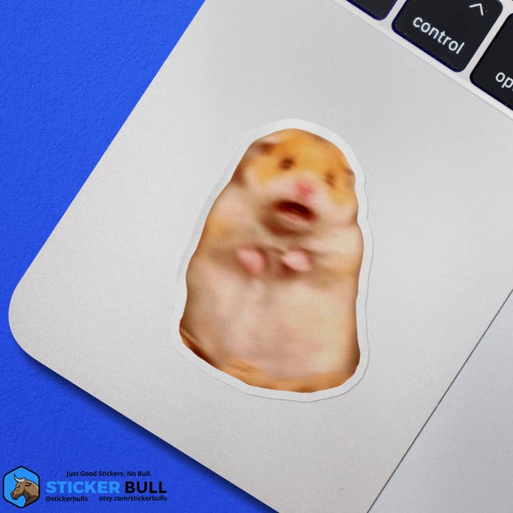 Sticker Bull - Wholesale Sticker - Scared Hamster Funny Meme Sticker, Waterproof Vinyl Sticker5