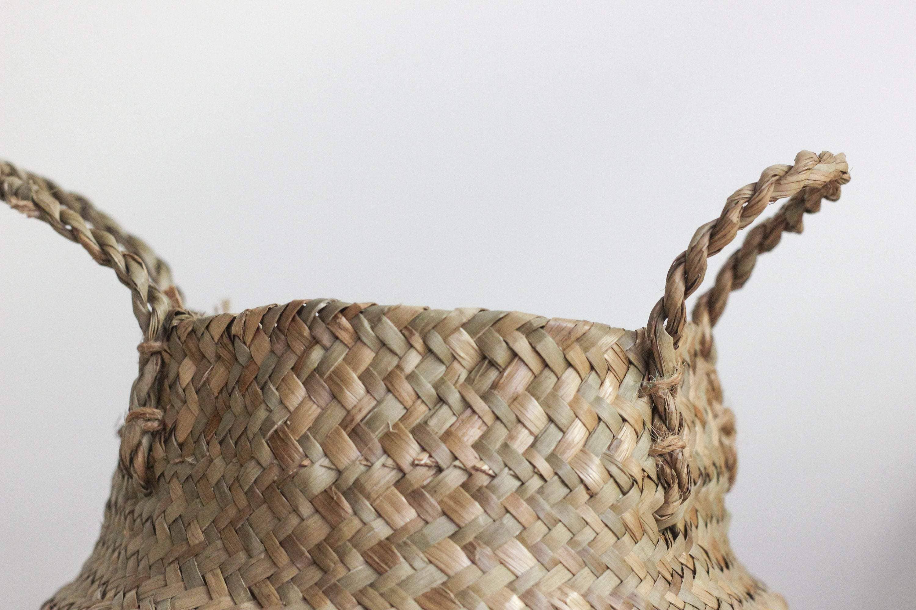 Sprout & About - Wholesale Plant Pot - Woven Seagrass Belly Basket Planter7
