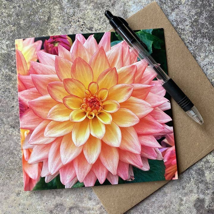 Carte de vœux Dhalia - carte d'anniversaire fleur pour la vente par Alex Sharp