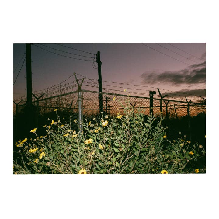 Hegn nr. 33, 2025. for engroshandel hos bylindseykusterman