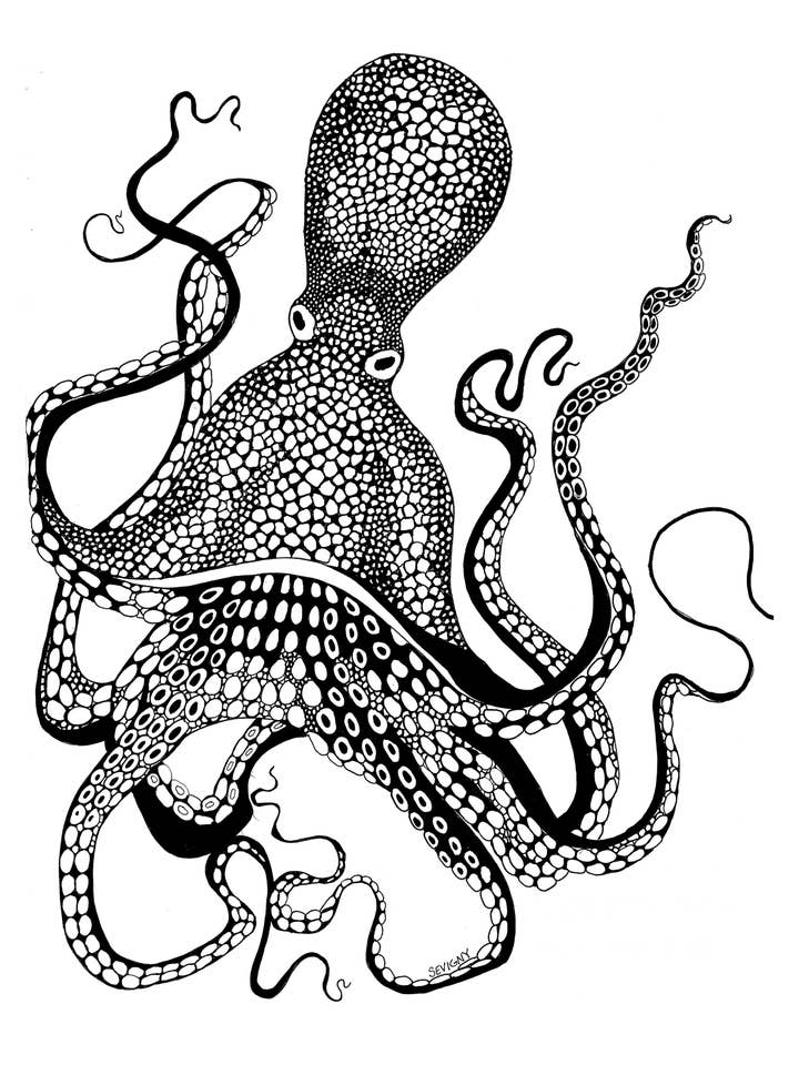 A DAY IN AK OCTOPUS for wholesale by Sevigny Studio