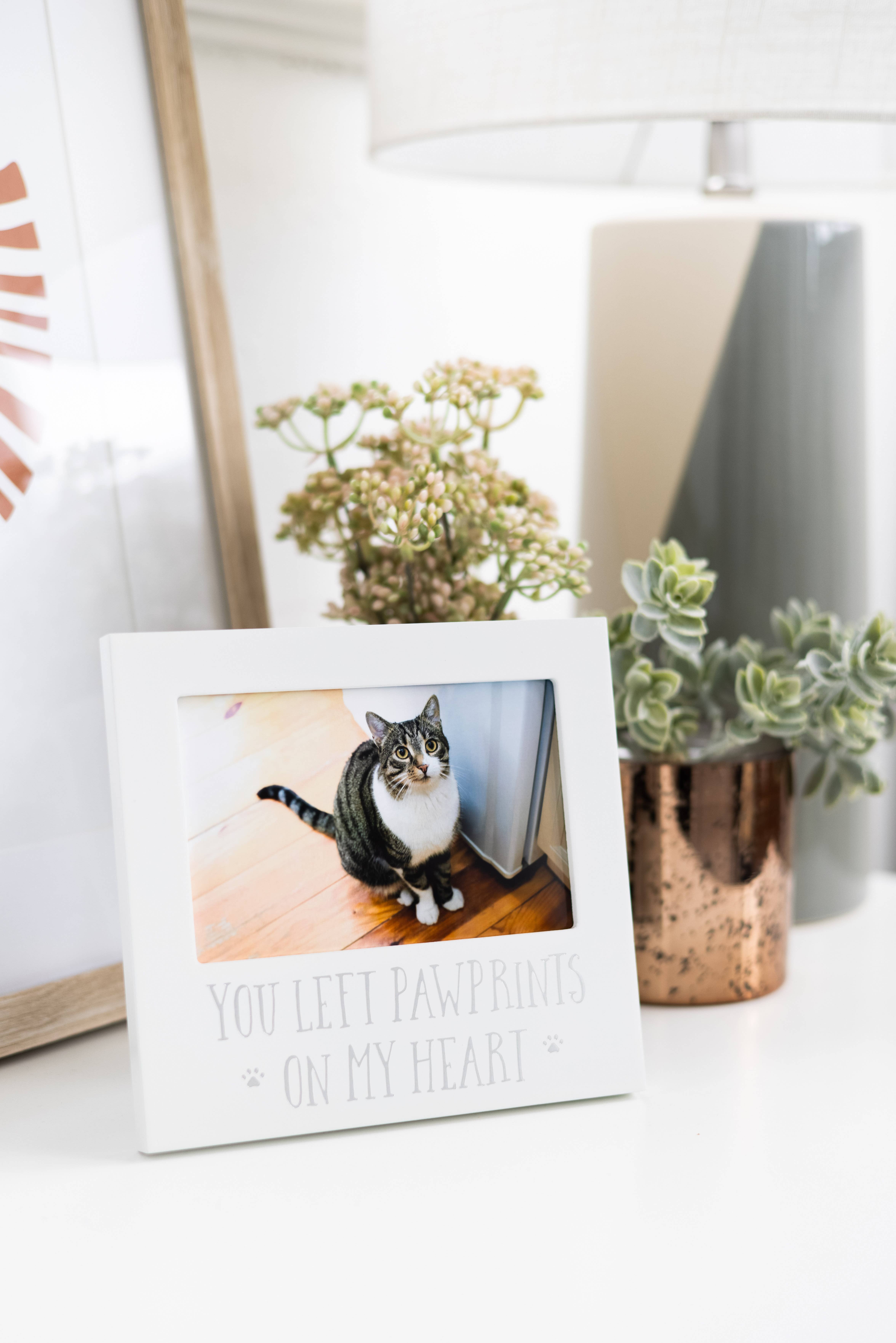Pearhead - Wholesale Picture Frame - You Left Pawprints On My Heart Sentiment Frame1