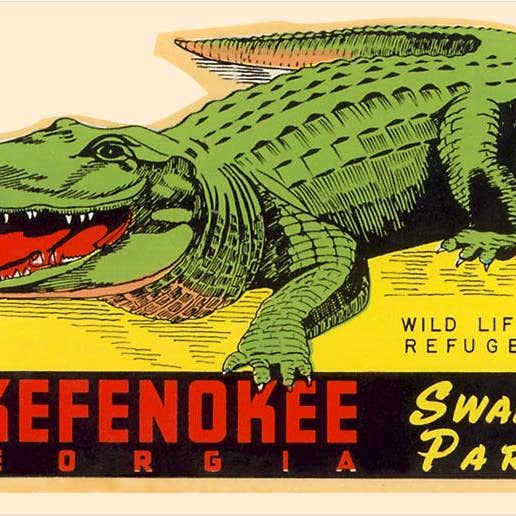 Impression d'art FL-1126 Alligator du parc marécageux d'Okefenokee, Floride pour la vente par Found Image Press