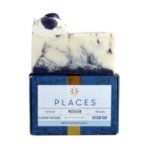 MUSKEGON - BLUEBERRY CHEESECAKE for wholesale by PLACES