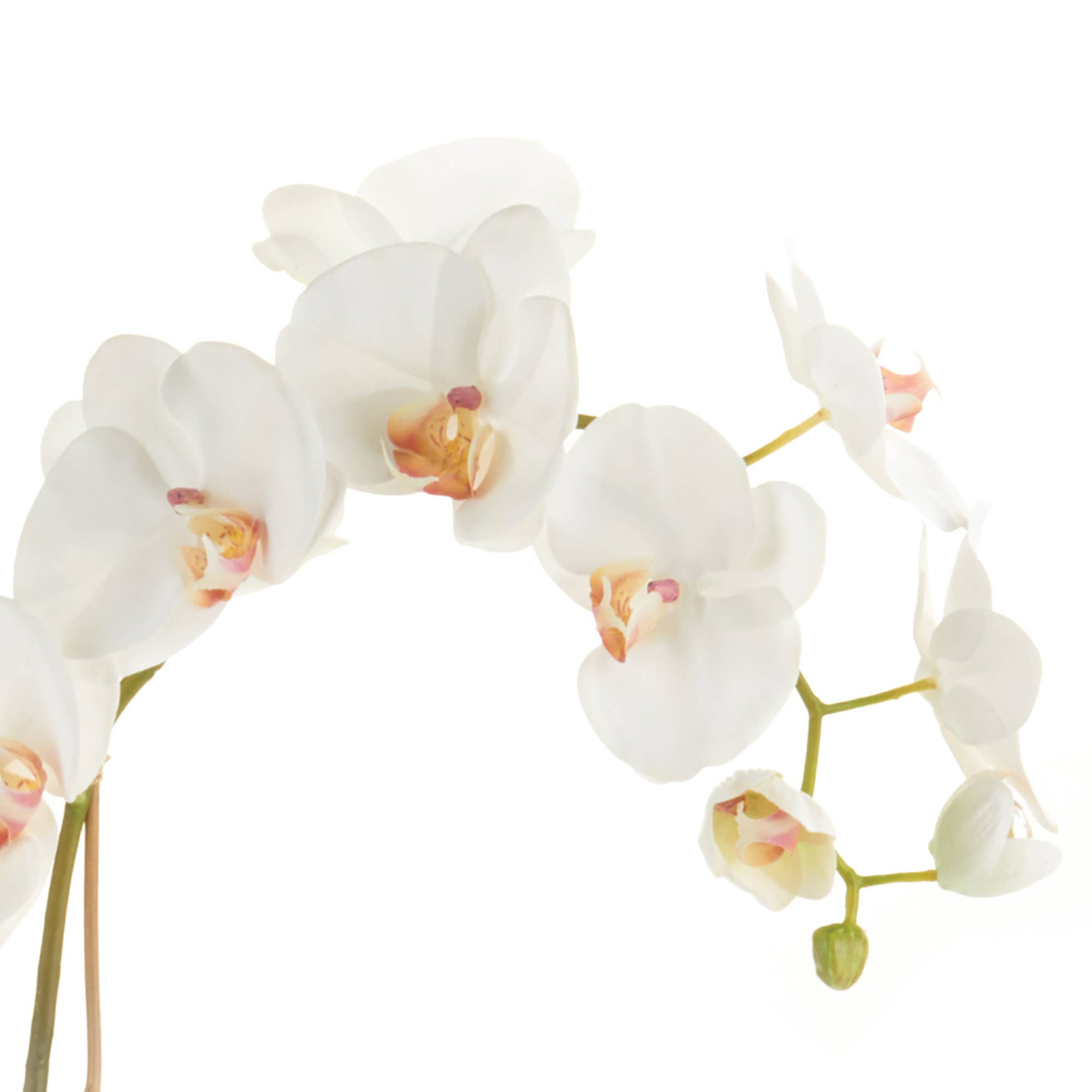Napa Home & Garden - Wholesale Artificial Flowers - Phalaenopsis Orchid Drop-In 26"3