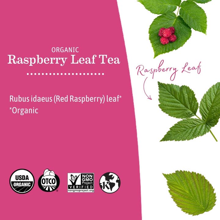 Earth Mama Organics - Wholesale Nursing Tea - Maternity - Organic Raspberry Leaf Tea2