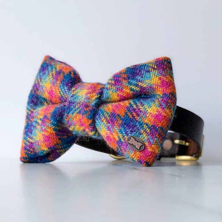 Gravata borboleta Tandy Rainbow Harris Tweed por atacado de The Distinguished Dog Company Ltd