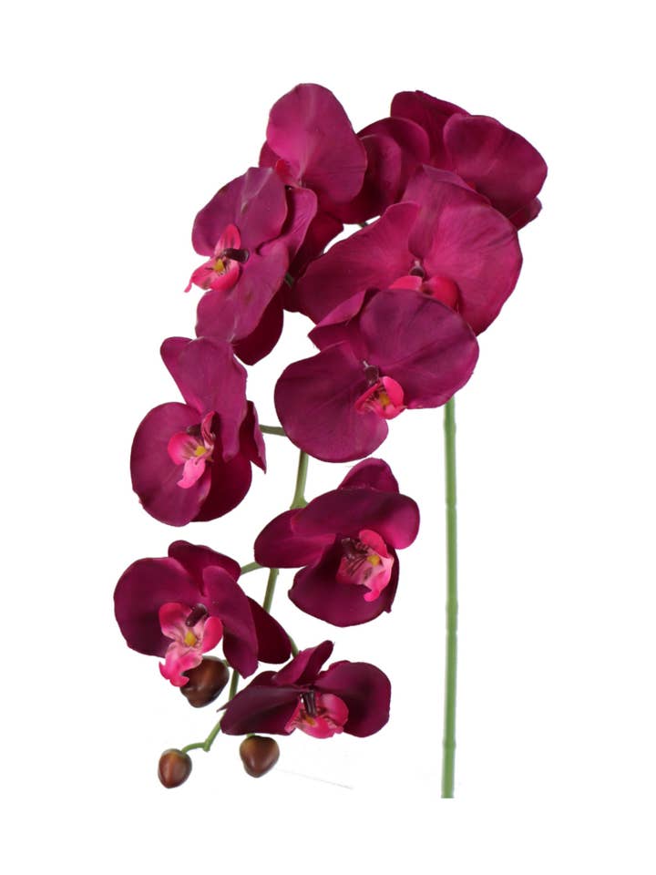34" Phalaenopsis 9 Flowers, 3 Buds - Purple Faux for wholesale by Larksilk