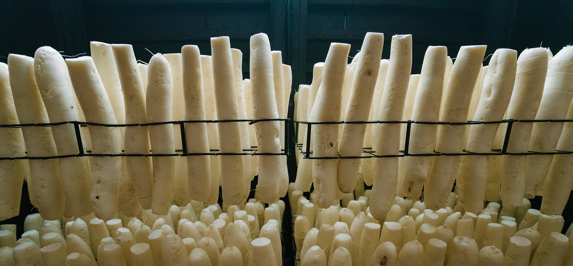 Japan Artisans - Wholesale Pickled Vegetables - Kinnokura-Smoked Radish 300g Smoky Vegan Iburigakko4