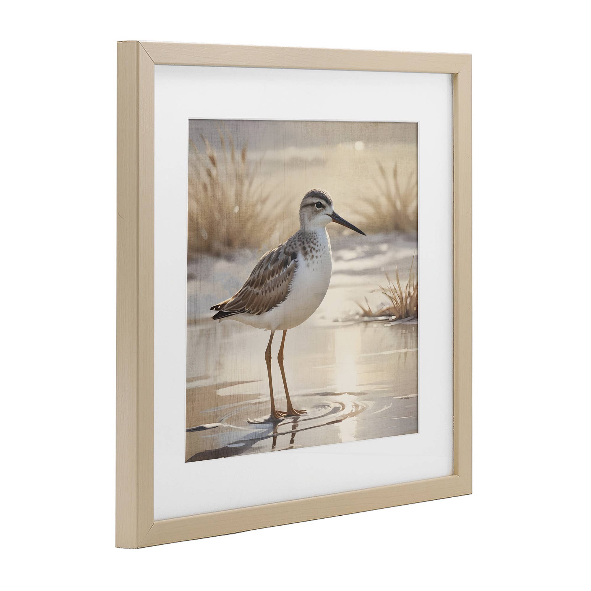 Stupell Industries - Wholesale Wall Sign - Sunlit Sandpiper in Shallow - Print Under Glass Wall Art8