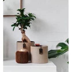 Lübech Living - Wholesale Plant Pot - Madrid Cylinder. Zero Waste, Light Brown1