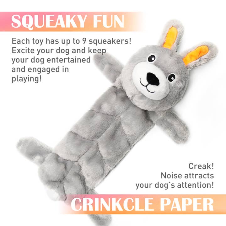 Nocciola - Wholesale Pet squeaky toy – Dog - Nocciola 5 PCS 3D Dog Squeaky Toys | No Stuffing Body Dog Toy Set for Small to Large Dogs4