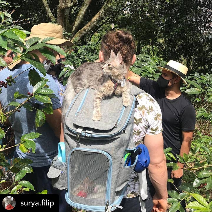 Mr. Peanut's - Wholesale Pet carrier – Cat/dog - Mr. Peanut's Vancouver Series Backpack Pet Carrier for Smaller Cats and Dogs30