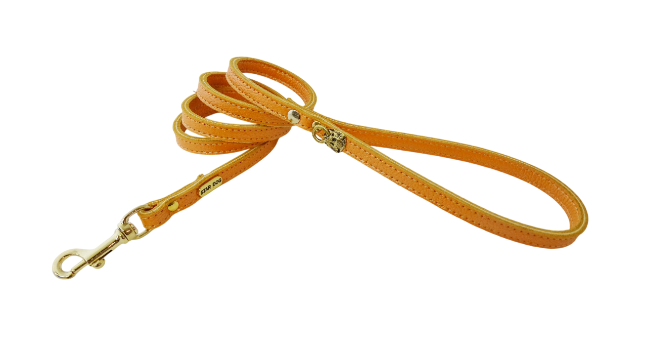 jmc creadog - Wholesale Pet Leash - Dog - 51001-10 SUPER JENNY LEASH22