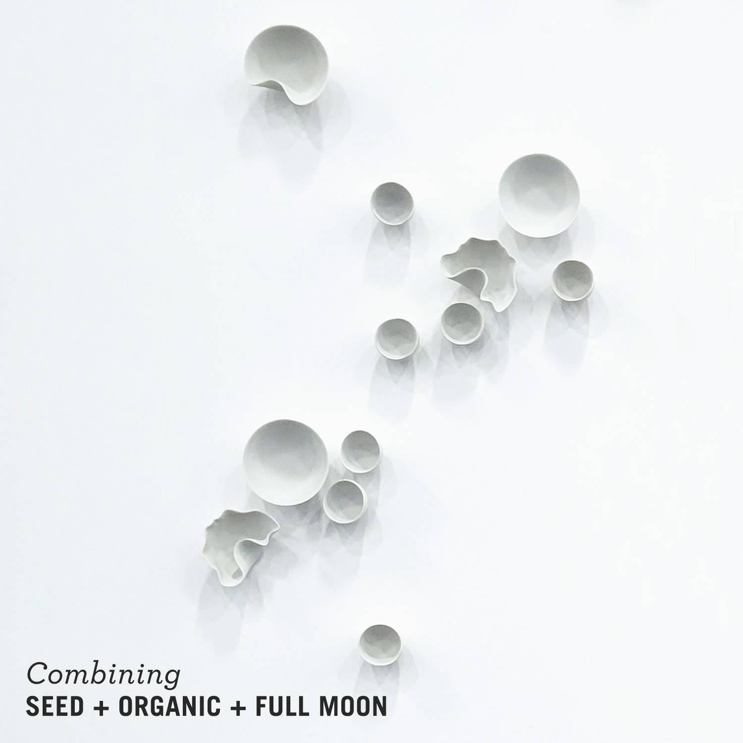 Gold Leaf Design Group - Wholesale Wall Accent - Seed Wall Play™ SEED Off-White Set/1010