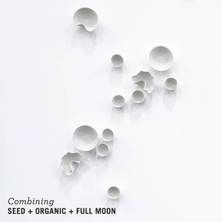 Gold Leaf Design Group - Wholesale Wall Accent - Seed Wall Play™ SEED Off-White Set/1010