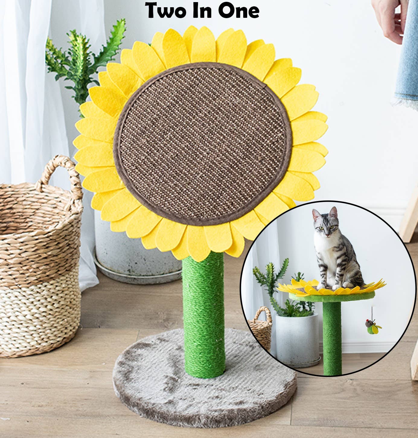 PetPals Group - Wholesale Pet Scratcher - Cat - Catry Sunflower Cat Scratcher6
