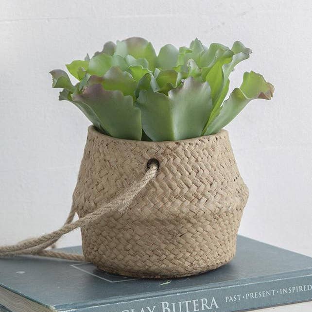 Planter and other Purchase Wholesale rope and twine. Free Returns & Net 60 Terms on Faire trending on Faire.